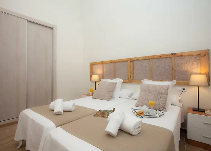 Singularstays Seu Catedral Valenza